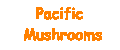 pacific1.gif (394 octets)